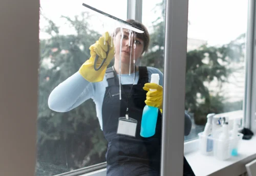 Nettoyage de vitres intérieures et extérieures à Saint-Priest-la-Prugne